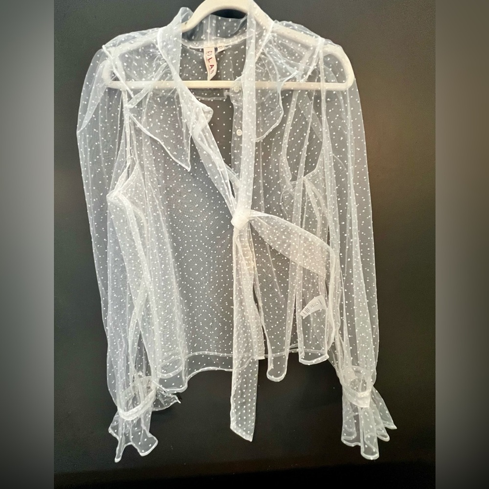 Dolan Sheer White Polka Dot Blouse